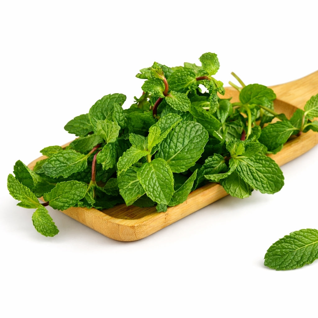 Mint Leaves ( पुदीने की पत्तियां ) - 1 Bunch