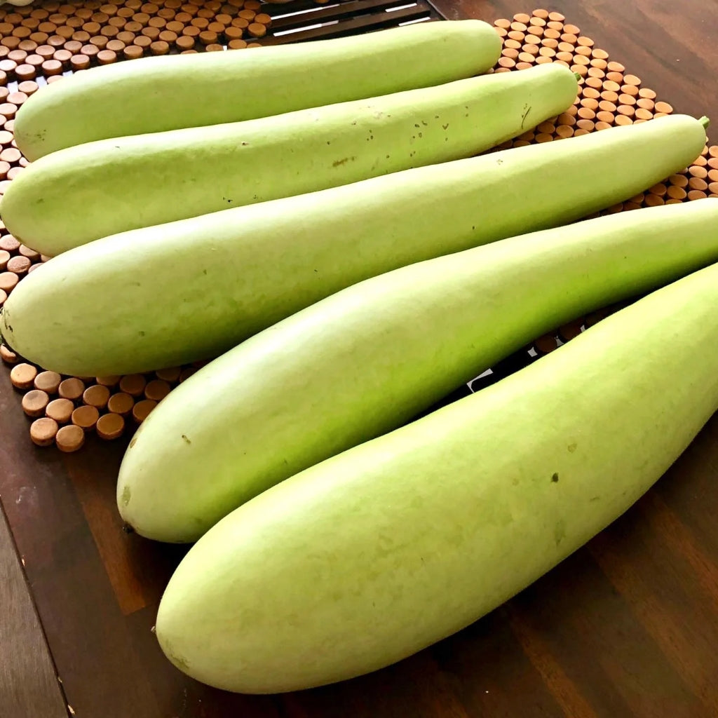 Bottle gourd ( लौकी ) - 500g