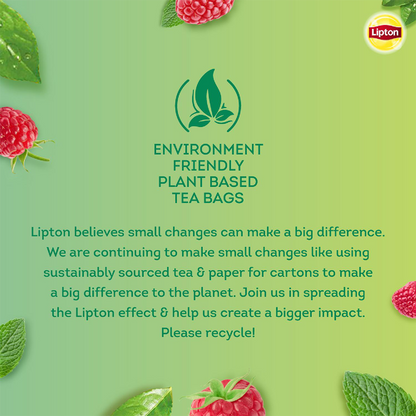 Lipton Raspberry Mint Green Tea - 25N