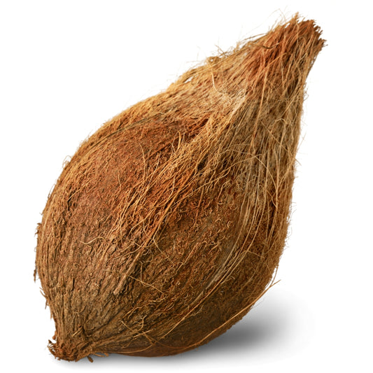 Brown coconut ( भूरा नारियल ) 1 Pcs