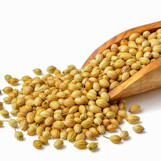 Whole Coriander Seeds (साबुत धनिया ) - 100g