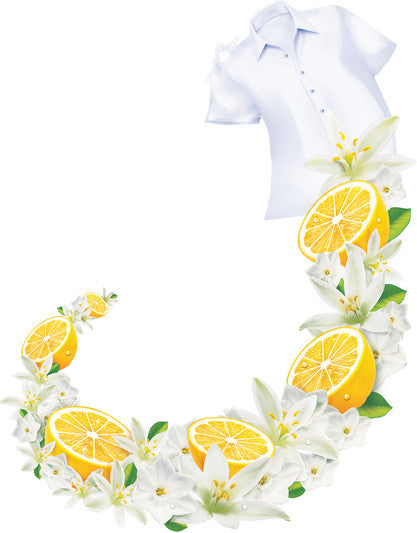 Wheel Active 2 in 1 Detergent Powder - 1 kg