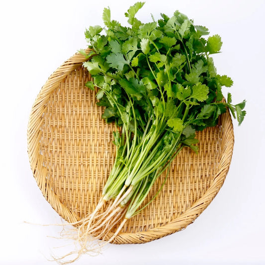 Coriander ( हरा धनिया ) - 1 Bunch
