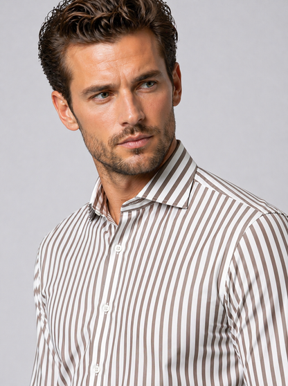 Louis Philippe Formal Strip Shirt