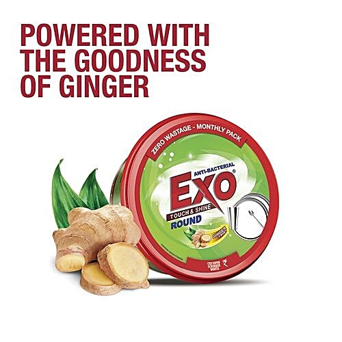 Exo Anti-Bacterial Dishwashing Tub (500g)