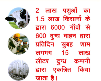 Madhusudan Desi Ghee (450 ml)